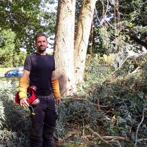 Matthieu Babeau spécialisé en élagage, broyage, coupe, taille et soins d’arbres en Bretagne.