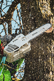 Tronçonneuse qui élage un arbre